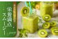 生産量日本一！家族で毎日食べられる！甘熟キウイフルーツ　3L～4Lサイズ（20～24玉入）