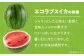 食品 果物 フルーツ おやつ デザート すいか スイカ 西瓜 エコラブ スムージー ヨーグルト ジュース