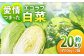 エコラブ白菜 約20kg（約10kg×2箱）
