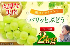 【先行予約】【9月上旬より順次発送】「瀬戸ジャイアンツ」ぶどう 2kg（3～5房） 果物 フルーツ ブドウ ぶどう マスカット 愛媛県大洲市/沢井青果有限会社 [AGBN005]