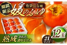 【先行予約】【12月中旬から順次発送】 有袋富有柿「媛（ひめ）のふゆ」 約3kg 箱入（2Lサイズ 12玉入り） 期間限定 数量限定 フルーツ 柿 かき カキ 果物 富有柿 愛媛県大洲市/愛媛たいき農業協同組合[AGAO003]