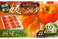 有袋富有柿「媛のふゆ」　2Lサイズ 約3㎏箱入（12玉入り）