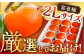 有袋富有柿「媛のふゆ」　2Lサイズ 約3㎏箱入（12玉入り）