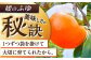 有袋富有柿「媛のふゆ」　2Lサイズ 約3㎏箱入（12玉入り）