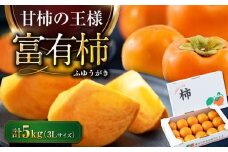 【先行予約】【11月上旬から順次発送】 富有（ふゆう）柿 3Lサイズ 約5kg箱（15玉入り） 期間限定 数量限定 フルーツ 柿 かき カキ 果物 富有柿 愛媛県産 愛媛県大洲市/愛媛たいき農業協同組合[AGAO012]