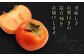  愛媛県産 富有（ふゆう）柿　3Lサイズ 約5㎏箱（15玉入り）