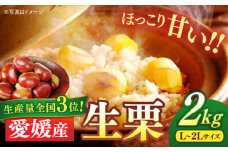 【9月下旬より順次発送】生栗2kg（L～2Lサイズ） 栗 クリ くり くだもの 果物 フルーツ 栗きんとん 栗ご飯 愛媛県大洲市/沢井青果有限会社 [AGBN043]