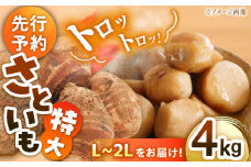 【9月下旬より順次発送】 トロトロさといも 4kg （L～2Lサイズ） 野菜 やさい 里芋 料理 さといも煮 さといも 芋 愛媛県大洲市/沢井青果有限会社 [AGBN003]野菜 やさい 里芋 料理 さといも煮 さといも