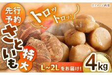 【9月下旬より順次発送】トロトロ さといも 4kg （ L から 2L サイズ） 愛媛県大洲市/沢井青果[AGBN003] 先行予約 里芋 サトイモ さといも 料理 いもたき 芋炊き 野菜 やさい 新鮮野菜 愛媛県産 大洲市産 産地直送 おすすめ 人気 お取り寄せ 送料無料 贈答 ギフト