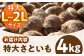 さといも（L～2Lサイズ）4kg