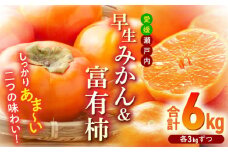 【先行予約】【11月初旬より順次発送】早生みかん 富有柿 各3kg 詰合せセット 愛媛県大洲市/沢井青果[AGBN019] 柿 かき カキ 果物 くだもの フルーツ 愛媛県産 大洲市産 産地直送 おすすめ 人気 お取り寄せ 送料無料 贈答 ギフト