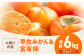 早生みかん3kg・富有柿3kg 詰合せセット