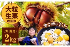 【先行予約】【9月中旬から順次発送】高級和栗 大粒生栗 2kg くり 栗 生栗 国産 生栗 果物 フルーツ 栗きんとん 愛媛県大洲市/あじさい農園 [AGAE008] 