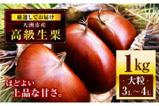 【先行予約】【9月中旬から順次発送】高級生栗 大粒 3L・4Lサイズ 1kg くり 栗 4l 国産 生栗 果物 フルーツ 栗きんとん 愛媛県大洲市/あじさい農園 [AGAE007] 