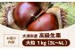 食品 果物 フルーツ 栗 くり クリ 和栗 生栗 むき栗 大粒 お菓子  和菓子  おやつ 料理 甘露煮 栗きんとん 栗ごはん