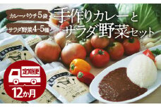【全12回】野菜とカレー定期便 旬の野菜セット×こだわりの手作りカレー 大洲市/（有）ヒロファミリーフーズ [AGBX027] カレー定期便 カレー 定期便 野菜セット 野菜 定期便 野菜 詰め合わせ 野菜定期便