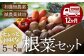 あったら嬉しい根菜セット+おまかせ旬野菜