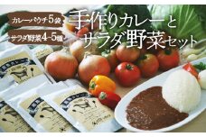 【野菜セット】シェフの目線で厳選！ 旬の野菜セット×こだわりの手作りカレー 大洲市/（有）ヒロファミリーフーズ [AGBX025] JAS認定 有機無農薬 有機栽培 減農薬栽培 有機JAS オーガニック
