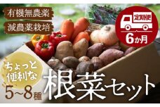 野菜定期便（根菜・旬野菜）【全6回】シェフの目線で厳選！ あったら嬉しい根菜×おまかせ旬野菜定期便（10〜12種） 大洲市/（有）ヒロファミリーフーズ [AGBX013] 野菜定期便 定期便 野菜 定期便 6回 野菜 定期便 6ヶ月 野菜セット 旬野菜セット 野菜 詰め合わせ