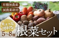 【野菜セット】シェフの目線で厳選！ あったら嬉しい根菜×おまかせ旬野菜セット（10〜12種） 大洲市/（有）ヒロファミリーフーズ [AGBX012] 野菜セット 旬野菜セット 野菜 詰め合わせ 旬野菜 詰め合わせ 根菜