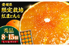  紅まどんな 秀品 8個から15個入（JA愛媛たいき管内産）【先行予約】【11月下旬から順次発送】 紅まどんな みかん ミカン 紅マドンナ フルーツ 果物 くだもの みかん 愛媛県大洲市/株式会社フジ・アグリフーズ[AGBA001]