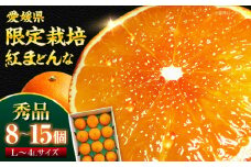 【先行予約】【11月下旬から順次発送】紅まどんな 秀品 8個から15個入（JA愛媛たいき管内産） 紅まどんな みかん ミカン 紅マドンナ フルーツ 愛媛県大洲市/株式会社フジ・アグリフーズ[AGBA001]