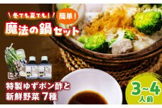 【先行予約】【11月初旬より順次発送】 新鮮野菜の鍋セット 特製ゆずポン酢付き（3～4人前） 鍋 野菜 野菜セット 野菜詰め合わせ 調味料 ぽん酢 愛媛県大洲市/沢井青果有限会社 [AGBN028]
