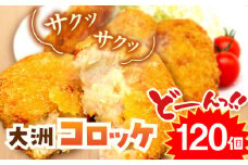 【冷凍】使いたい分だけ使える！郷土料理が進化した「大洲コロッケ」（120個） おうちごはん ランチ 晩ごはん おかず 惣菜 愛媛県大洲市/一般社団法人キタ・マネジメント（大洲まちの駅あさもや） [AGCP402]