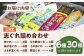 山栄堂の志ぐれ詰め合わせBセット（2箱）