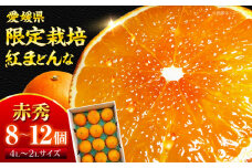 紅まどんな 赤秀 8個から12個入（JA愛媛たいき管内産）紅まどんな みかん ミカン 紅マドンナ フルーツ 果物 くだもの みかん 愛媛県大洲市/株式会社フジ・アグリフーズ [AGBA002]