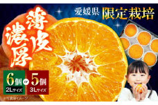 甘平 【愛媛県限定】「甘平」5から6個 愛媛県大洲市/株式会社フジ・アグリフーズ 甘平 かんぺい カンペイみかん 柑橘 愛媛みかん 果物 フルーツ 【AGBA005】
