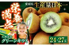 【先行予約】【2025年1月中旬から順次発送】グリーンキウイ 24玉～27玉入 愛媛県大洲市/株式会社フジ・アグリフーズ [AGBA009] キウイ きうい キューイ kiwi ヘイワード