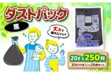 袋で始めるエコな日常！地球にやさしい！ダストパック 20L 黒（10枚入）✕25冊セット 愛媛県大洲市/日泉ポリテック株式会社 [AGBR035]ポリゴミ袋 ポリごみ袋 エコゴミ袋 エコごみ袋