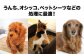 ペット用品　犬や猫などのフンの処理に！　プレミアム消臭袋【BOX】Sサイズ5箱（200枚入/箱）