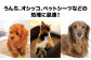 ペット用プレミアム消臭袋【袋】SSサイズ60冊（50枚入/冊）