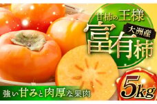 【先行予約】【11月初旬より順次発送】 富有（ふゆう） 柿 Mから2Lサイズ 約5kg 箱入（15から24玉） 愛媛県大洲市/沢井青果[AGBN023] 柿 かき カキ 果物 くだもの フルーツ 愛媛県産 大洲市産 産地直送 おすすめ 人気 お取り寄せ 送料無料 贈答 ギフト