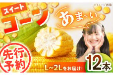 【先行予約】【6月上旬より順次発送】あま～いとうもろこし！スイートコーン（L～2Lサイズ）12本入り 愛媛県大洲市/沢井青果有限会社 [AGBN007]とうもろこし トウモロコシ コーン スイートコーン 野菜