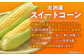 コーン トウモロコシ とうきび チーズ  パスタ おうちごはん バター 子供 とうもろこしご飯 料理 新鮮 野菜 産地直送