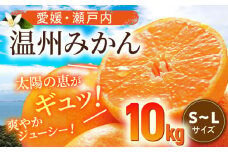 【先行予約】【11月中旬より順次発送】 温州みかん 10kg（S~Lサイズ） 果物 フルーツ みかん 10㎏ ミカン 温州みかん みかんジュース 愛媛 みかん 愛媛県大洲市/沢井青果有限会社 [AGBN016]