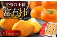 【先行予約】【11月上旬から順次発送】 富有（ふゆう）柿 2Lサイズ 約3kg 化粧箱入（12玉入り） 期間限定 数量限定 フルーツ 柿 かき カキ 果物 富有柿 愛媛県産 愛媛県大洲市/愛媛たいき農業協同組合[AGAO011]