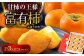 愛媛県産 富有（ふゆう）柿　2Lサイズ 約3㎏化粧箱入（12玉入り）