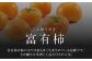愛媛県産 富有（ふゆう）柿　2Lサイズ 約3㎏化粧箱入（12玉入り）