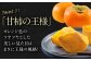 愛媛県産 富有（ふゆう）柿　2Lサイズ 約3㎏化粧箱入（12玉入り）
