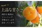 愛媛県産 富有（ふゆう）柿　2Lサイズ 約3㎏化粧箱入（12玉入り）