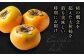 柿の概念を超えたサクサク食感！太秋柿 2Lサイズ 約3kg化粧箱入（12玉入り）かき カキ 柿 果物 フルーツ