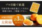 柿の概念を超えたサクサク食感！太秋柿 2Lサイズ 約3kg化粧箱入（12玉入り）かき カキ 柿 果物 フルーツ