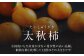 柿の概念を超えたサクサク食感！太秋柿 2Lサイズ 約3kg化粧箱入（12玉入り）かき カキ 柿 果物 フルーツ