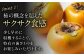 柿の概念を超えたサクサク食感！太秋柿 2Lサイズ 約3kg化粧箱入（12玉入り）かき カキ 柿 果物 フルーツ