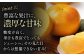 柿の概念を超えたサクサク食感！太秋柿 2Lサイズ 約3kg化粧箱入（12玉入り）かき カキ 柿 果物 フルーツ