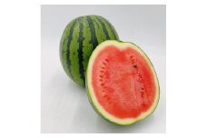 【夏の醍醐味】すいか「羅王ザ・スイート」1玉（7kg以上） 愛媛県大洲市/株式会社フジ・アグリフーズ [AGBA013]すいか スイカ 羅王 果物 フルーツ